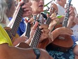 A clutch of ukulele during the kanikapila.jpg